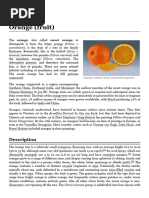 Sweet Orange: History and Cultivation | PDF