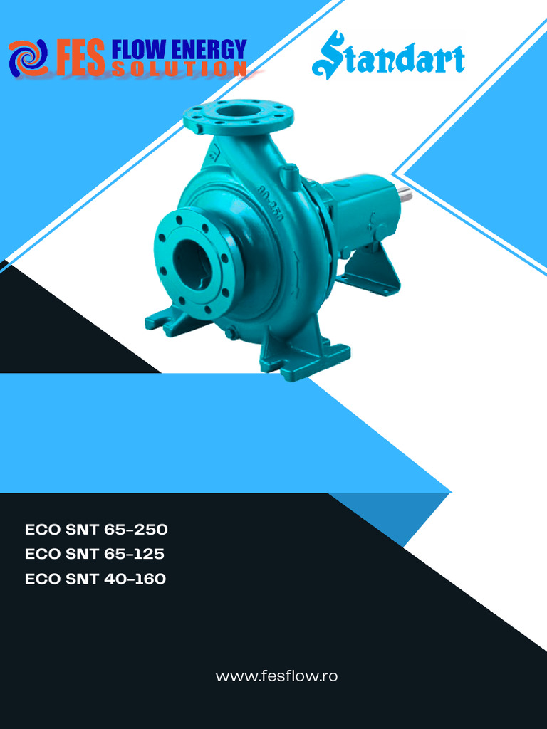 Manual Eco SNT | PDF