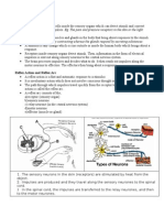 Nervous Coordination Notes