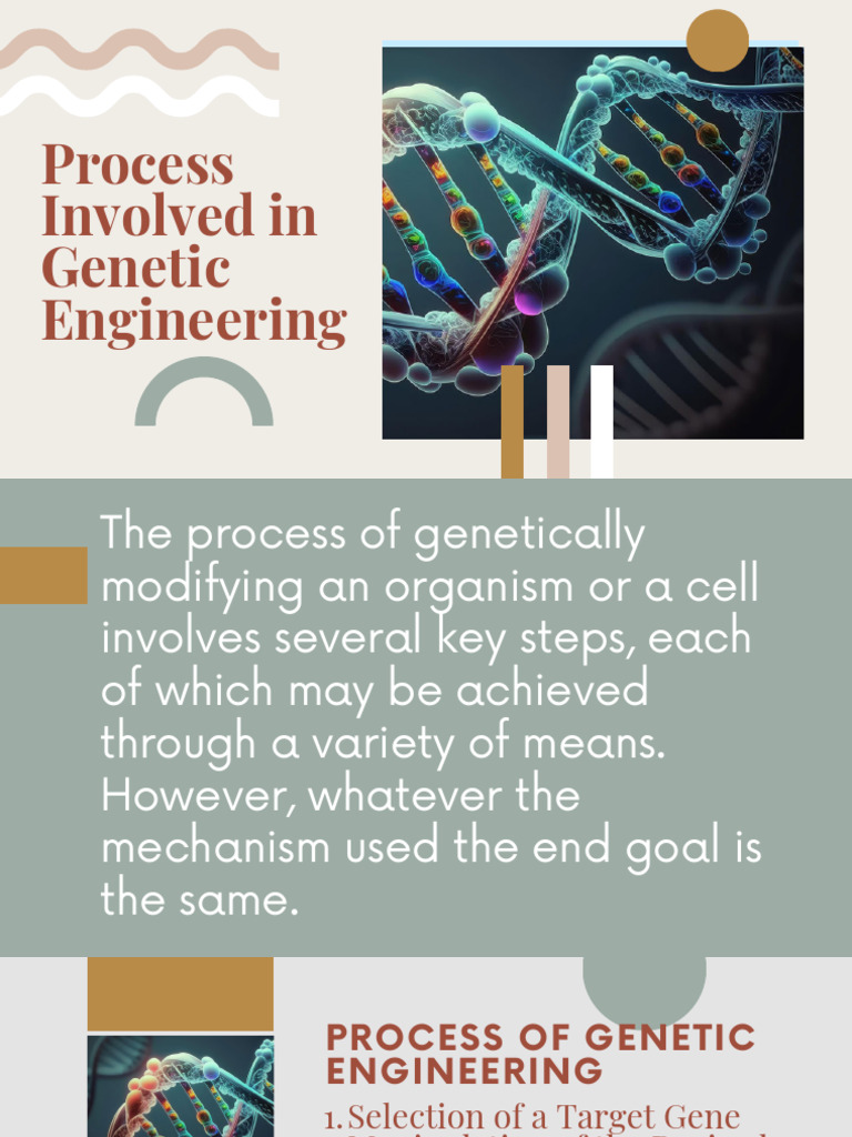 Process Involved in Genetic Engineering | PDF | Plasmid | Molecular Cloning