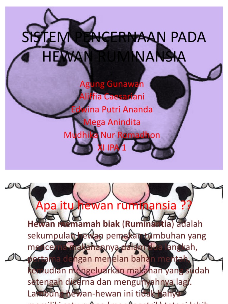 99 Contoh Gambar Hewan Ruminansia Gratis Terbaru