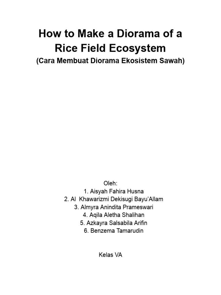 Rice Field Ecosystem | PDF