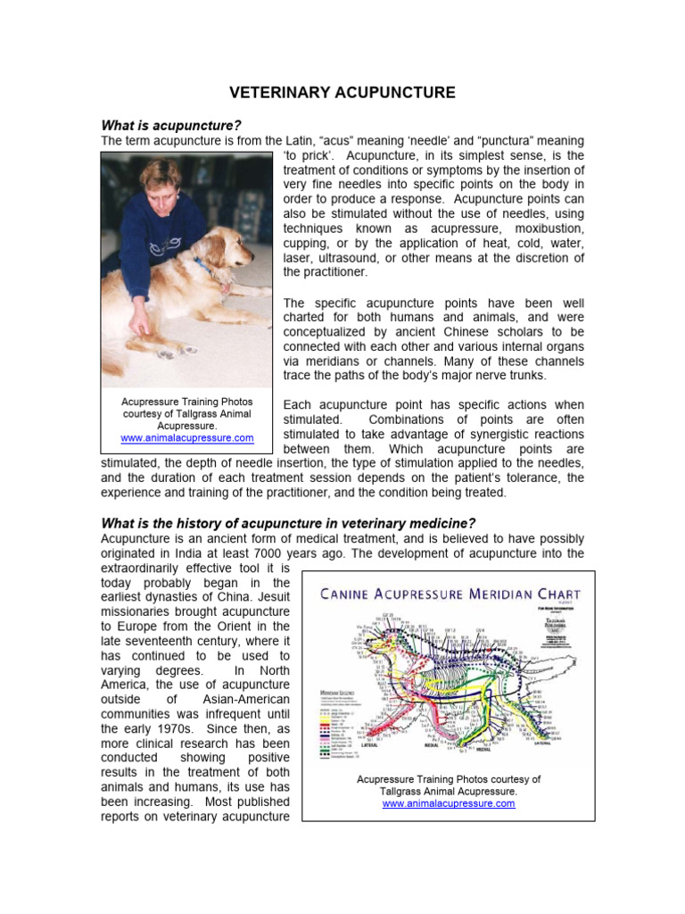Veterinary Acupuncture Overview | PDF | Acupuncture | Therapy