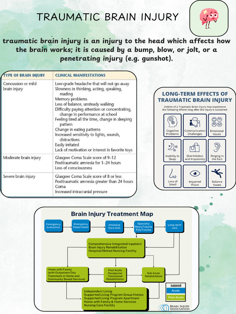 Understanding Traumatic Brain Injury | PDF
