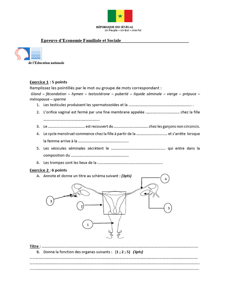 sujet-4-me-devoir-commun-du-second-semestre-pdf