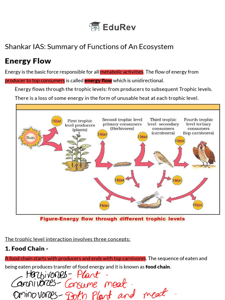 2 environment | PDF | Food Web | Soil