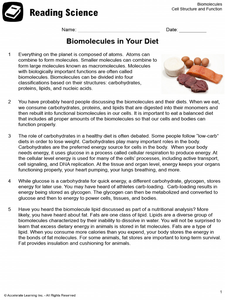 Understanding Biomolecules in Diet | PDF | Biomolecules | Carbohydrates