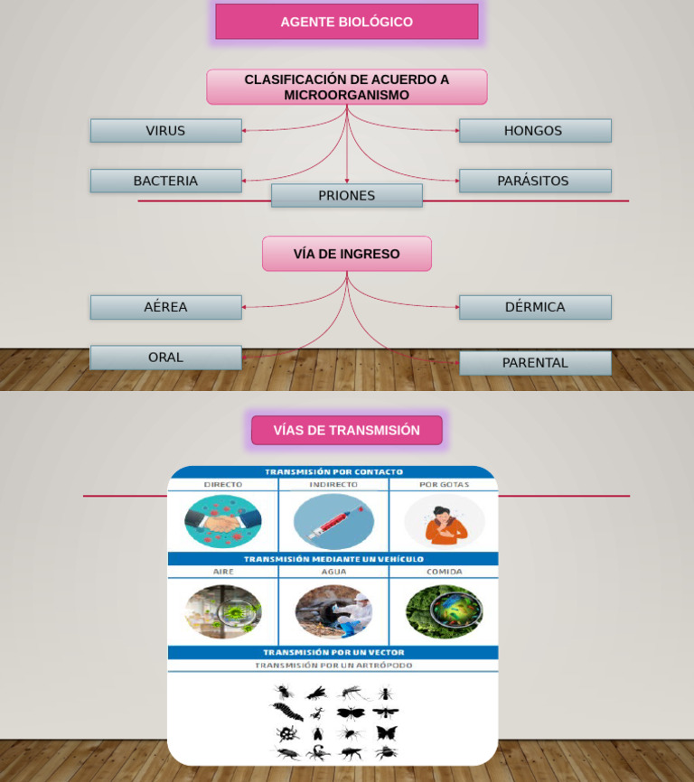 Agentes Biologicos | PDF