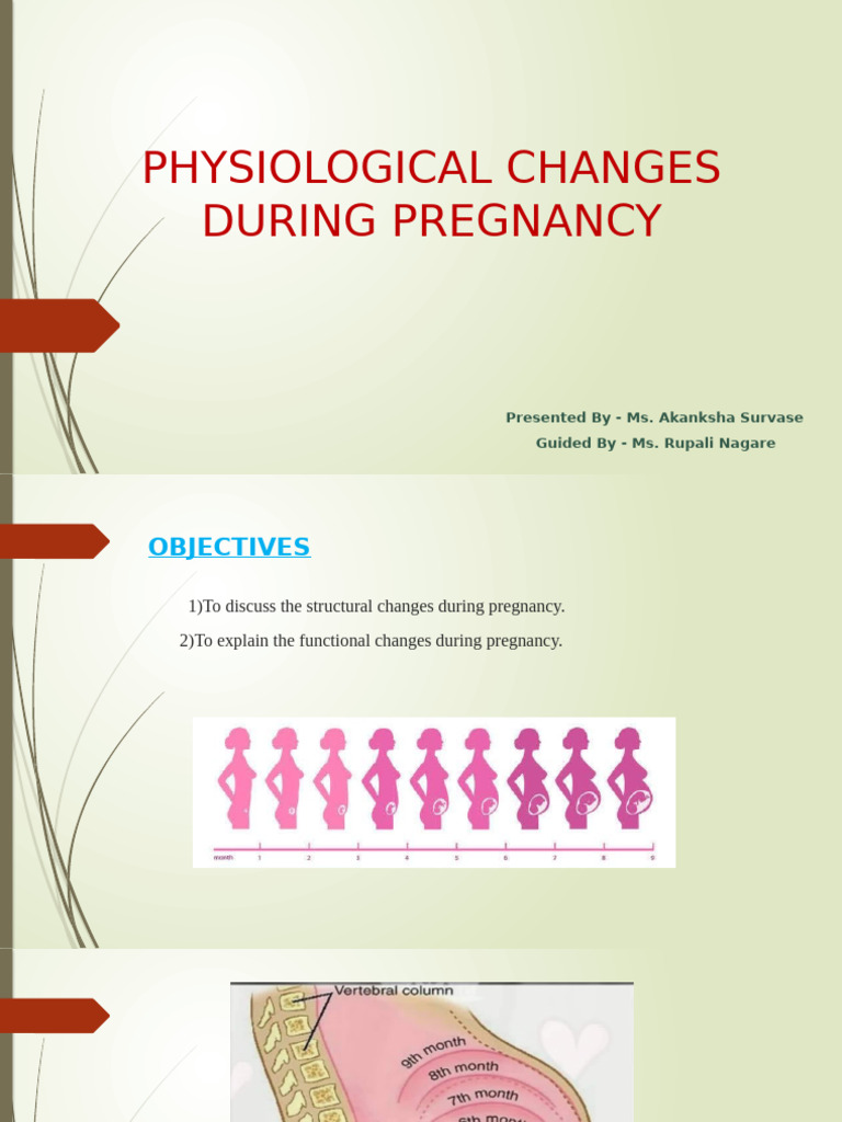 Physiological Changes During Pregnancy | PDF | Uterus | Pregnancy
