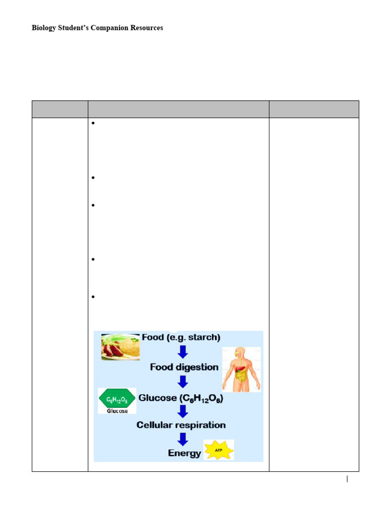 Cellular Respiration: Energy and ATP | PDF | Cellular Respiration ...