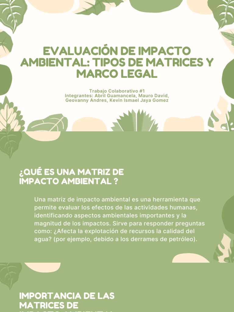 Evaluación de Impacto Ambiental Tipos de Matrices y Marco Legal | PDF ...