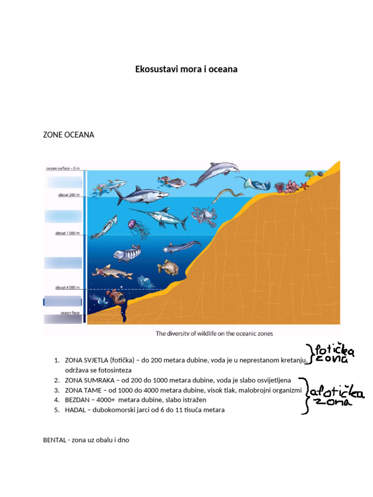 BIOLOGIJA | PDF