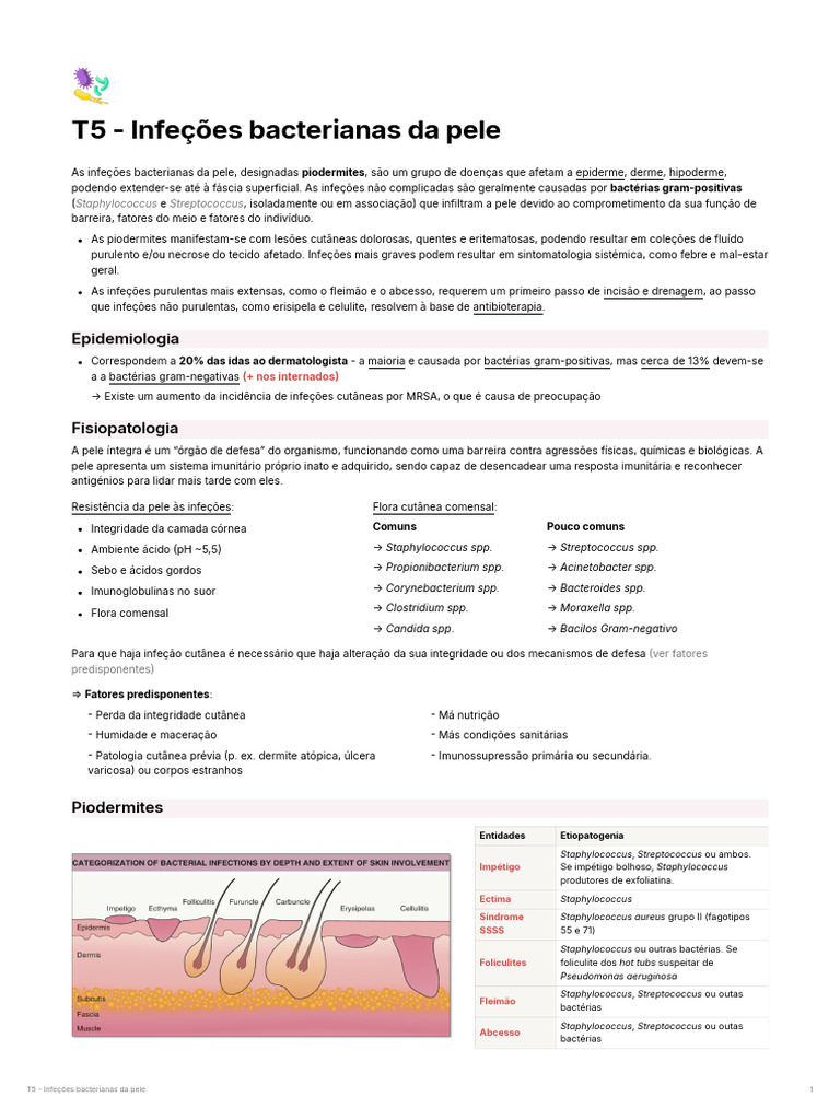 T5 - Infeções Bacterianas Da Pele | PDF | Infecção | Medicina Clínica