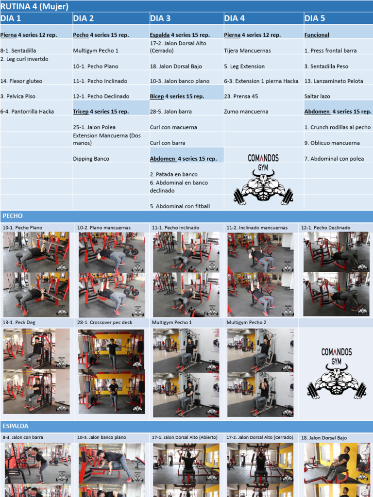 Rutina de Ejercicios 4 Días Mujer PDF | PDF | Entrenamiento con pesas