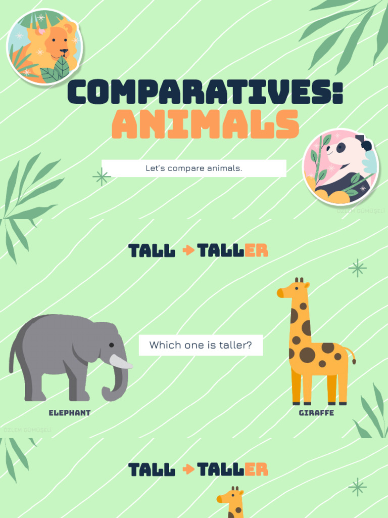 Animal Comparisons: Size, Speed, and More | PDF