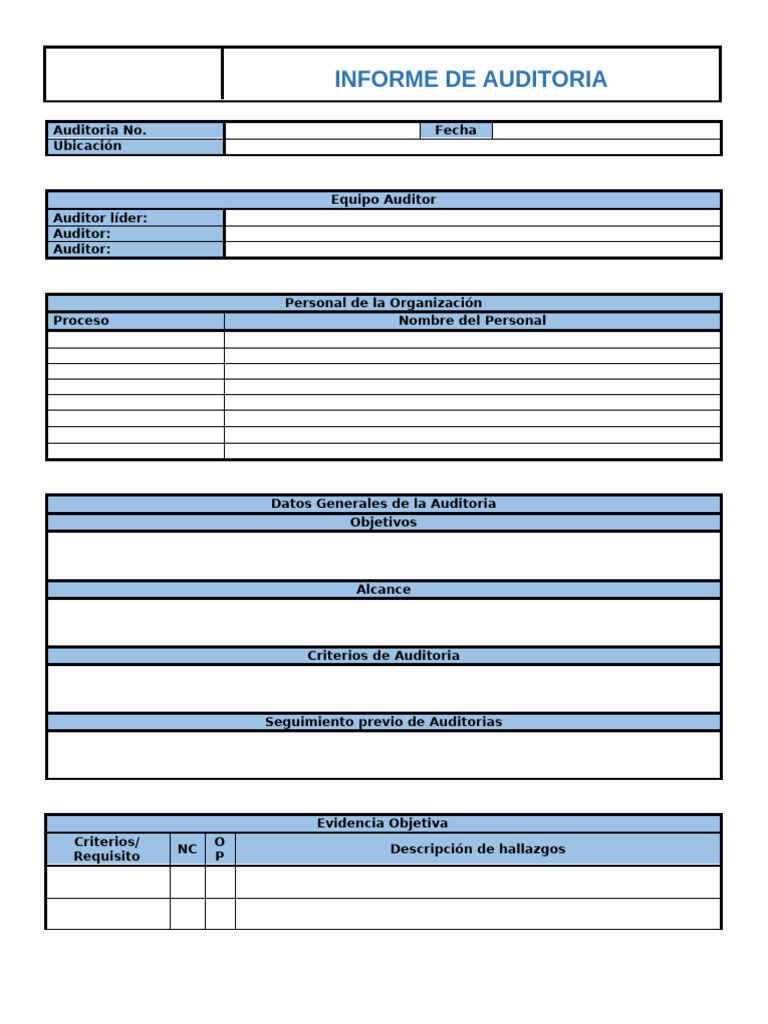 Informe de Auditoria | PDF | Negocios | Finanzas y dinero