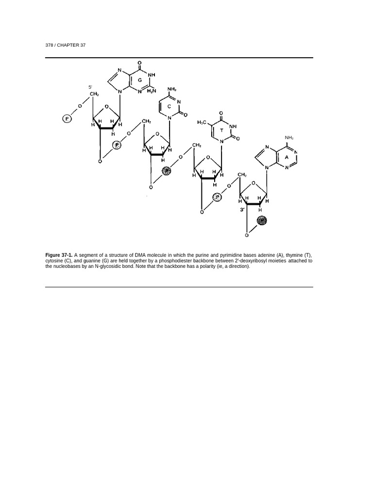 378 / CHAPTER 37: Figure 37-1 | PDF