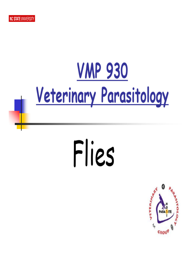 Filth Flies: Types, Life Cycles, and Control | PDF | Fly | Insects