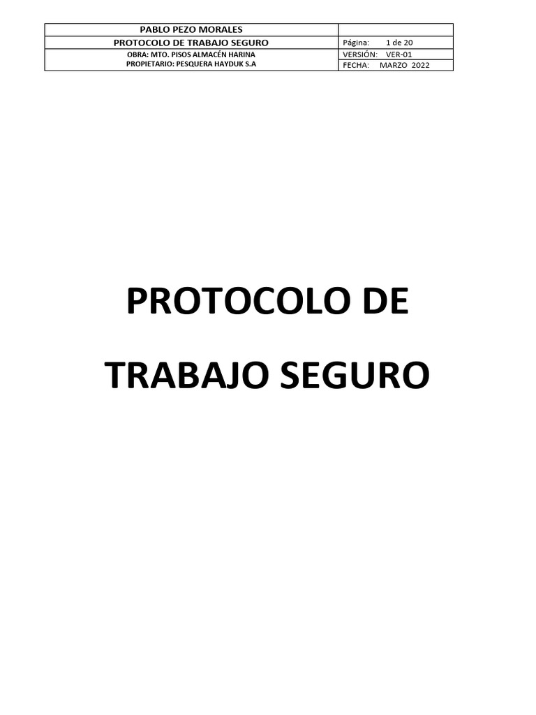Protocolo de Seguridad en el Trabajo | PDF | La seguridad informática ...
