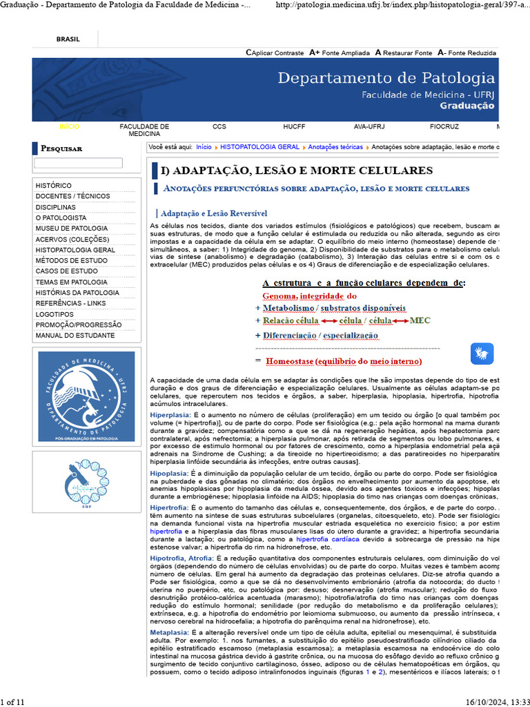 Adaptação e Lesão Celular em Histopatologia | PDF | Apoptose | Necrose
