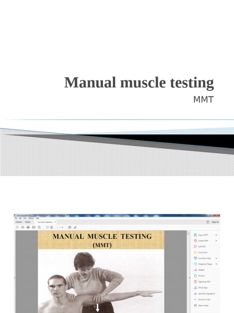 Mmt | PDF | Human Musculoskeletal System | Muscle Contraction