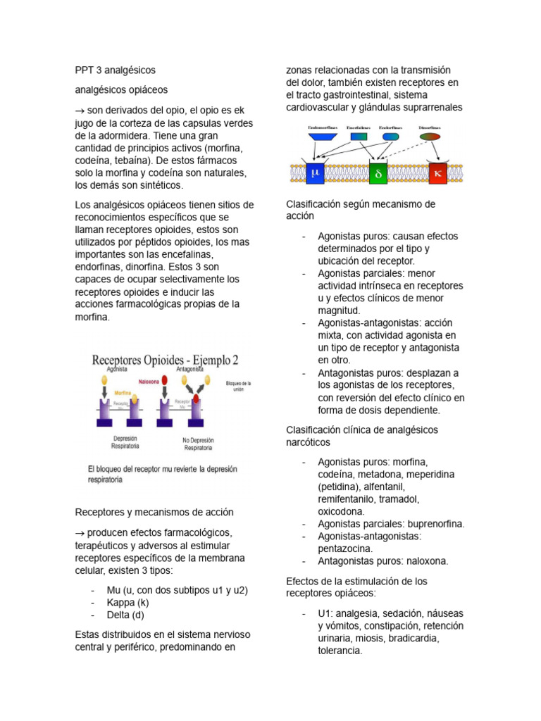 Resumen PPT 3 Analgésicos | PDF | Opioide | Analgésico