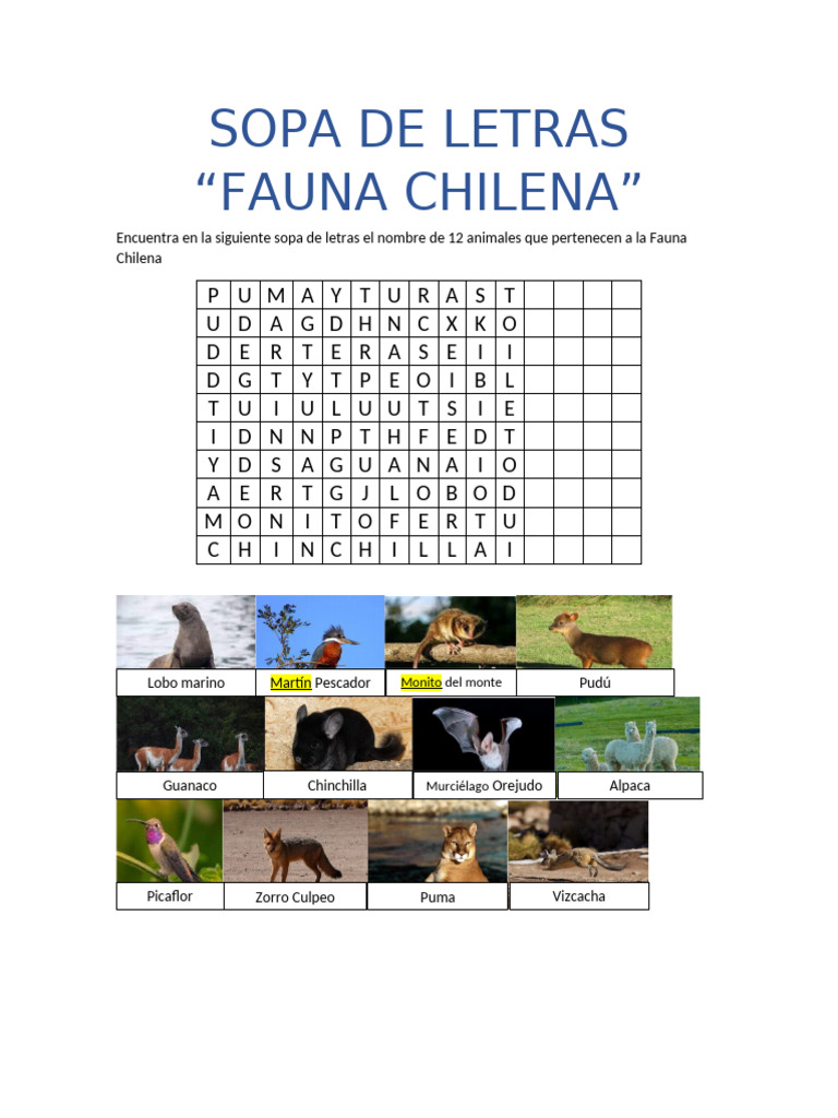 Sopa de Letras: Fauna Chilena | PDF