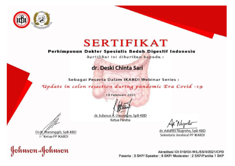 SERTIFIKAT IKABDI 13 Feb 2021 | PDF
