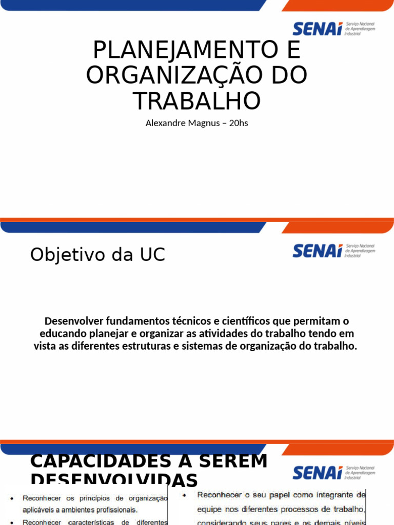 Planejamento e Organização do Trabalho | PDF | Carreira e Crescimento
