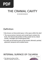 Dural Folds and Their Functions | PDF | Human Anatomy | Human Head And Neck