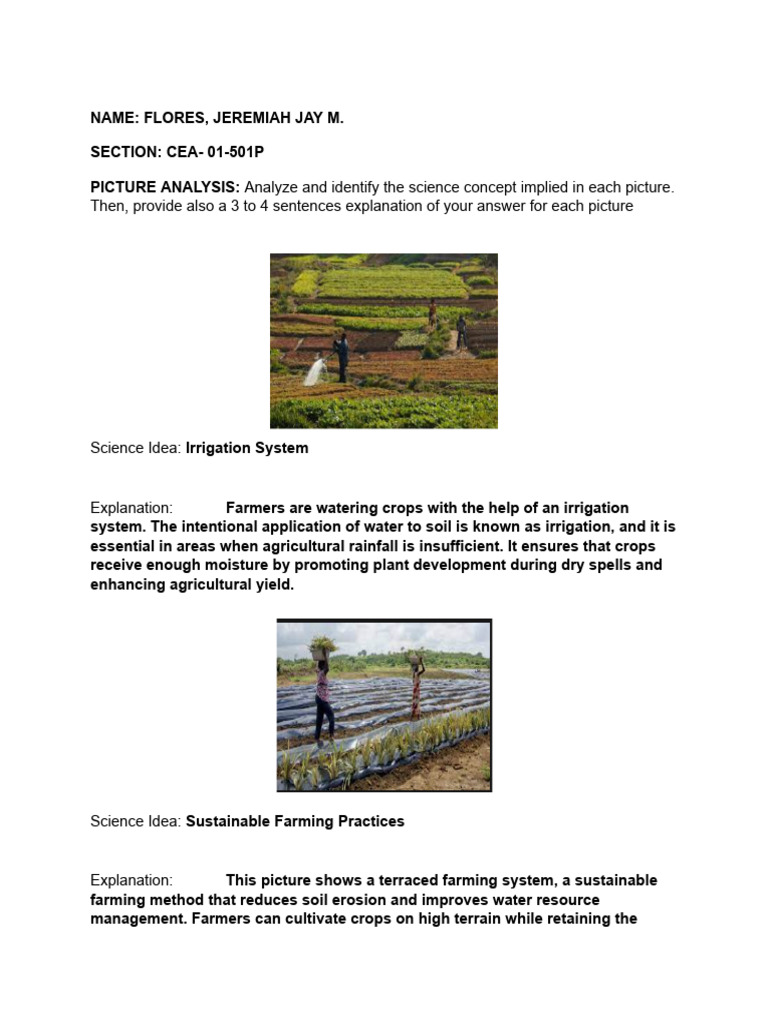 Practice Exercise No. 3 - Food Safety and Soil Management | PDF | Wellness