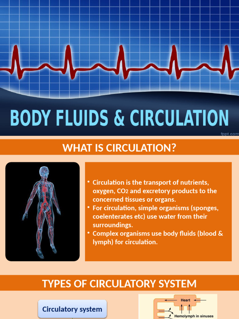 Ch 18 class 11 pdf heart diastole