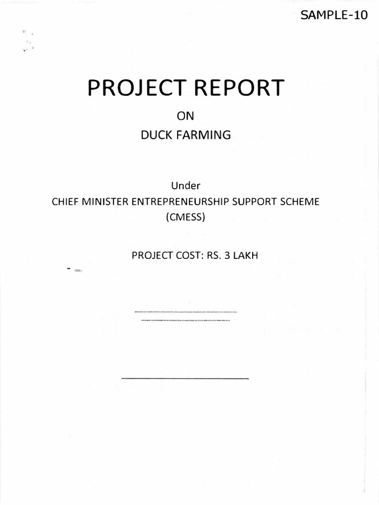 Duck Farming Project Report | PDF