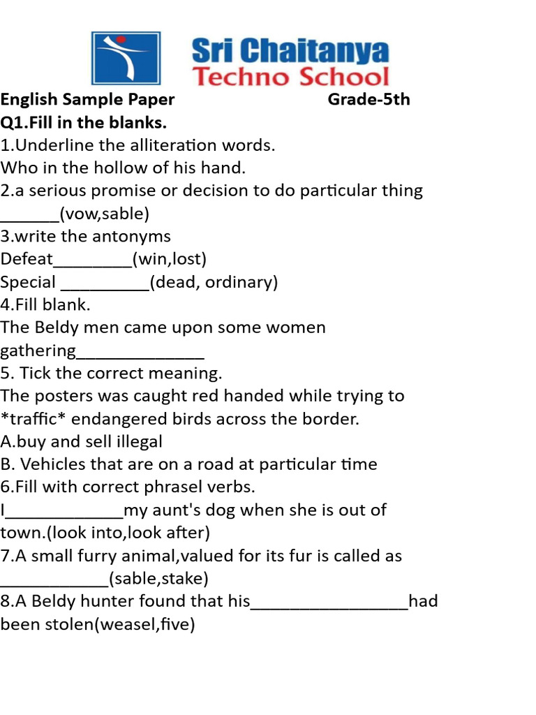 Grade 5 English Sample Paper | PDF | Linguistics | Syntax