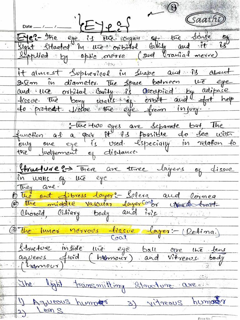 Anatomy of Eye | PDF