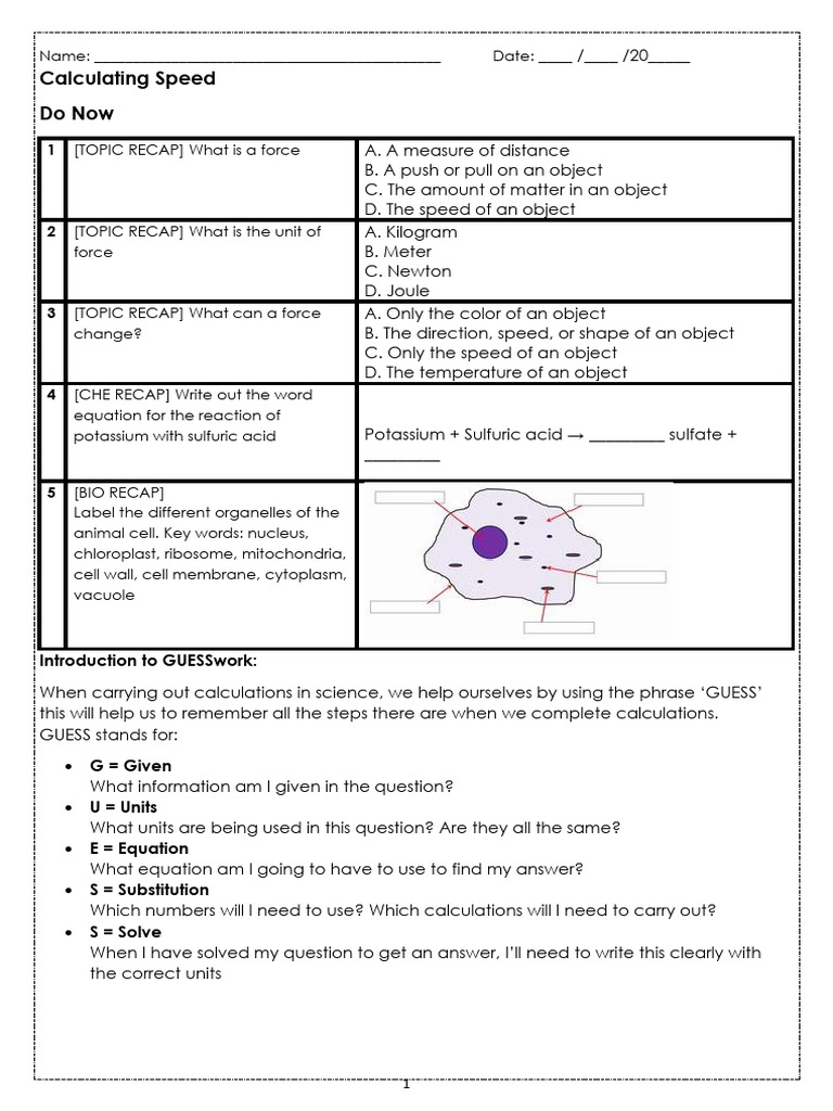 Year 8 20241114 Calculating Speed | PDF | Speed | Cell (Biology)