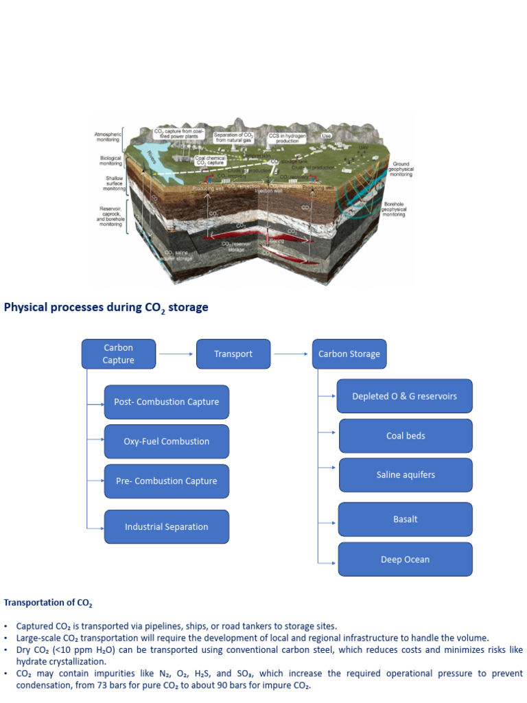 Carbon Storage and Monitoring Techniques | PDF | Carbon Capture And ...