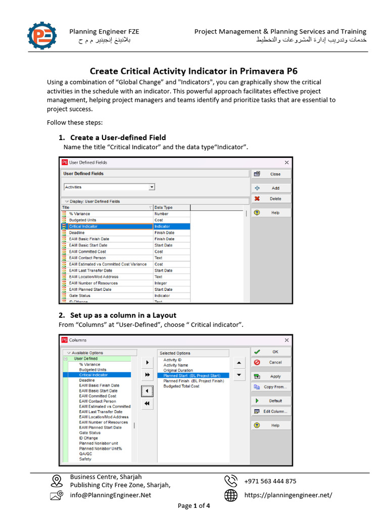 Create Critical Activity Indicator in P6 | PDF | Project Management ...