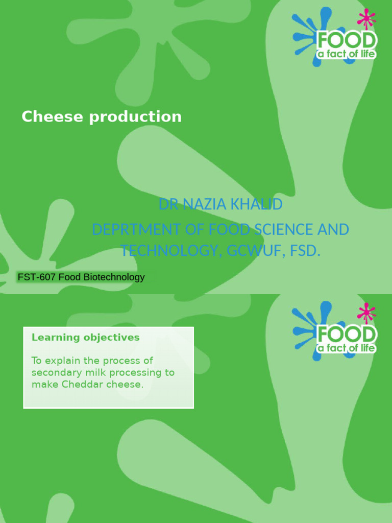 Cheese Production | PDF | Cheesemaking | Cheddar Cheese