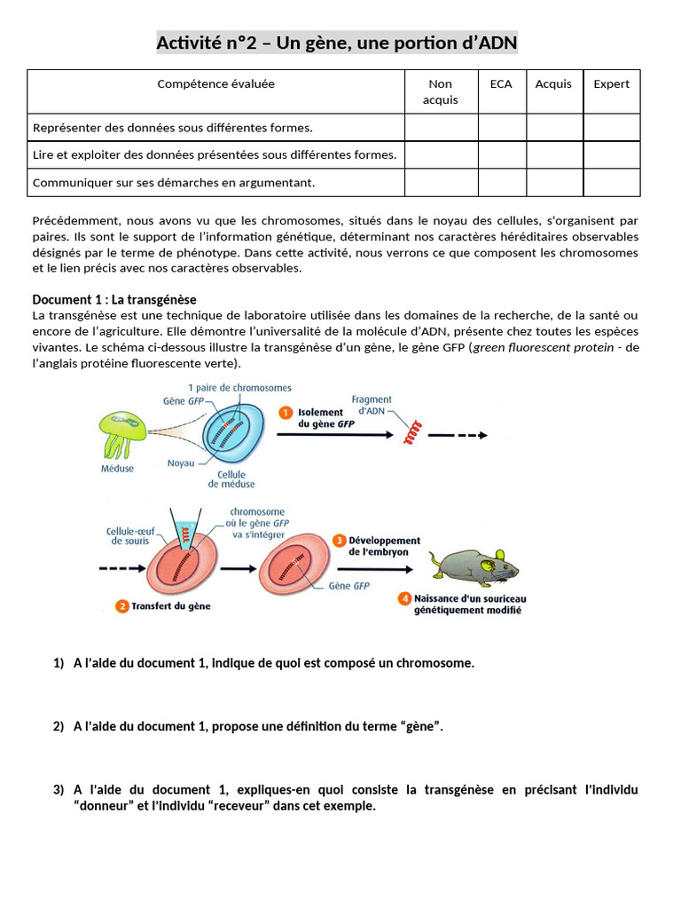 Comprendre les gènes et la transgénèse | PDF | Sciences et mathématiques