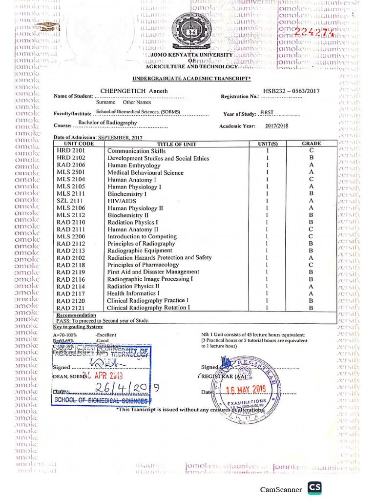 Radiography Transcripts | PDF
