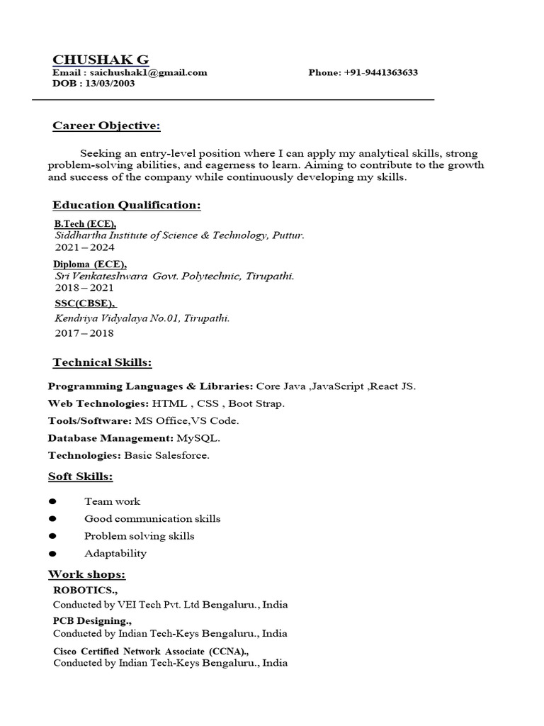 chushak resume G | PDF | Java Script | Computing
