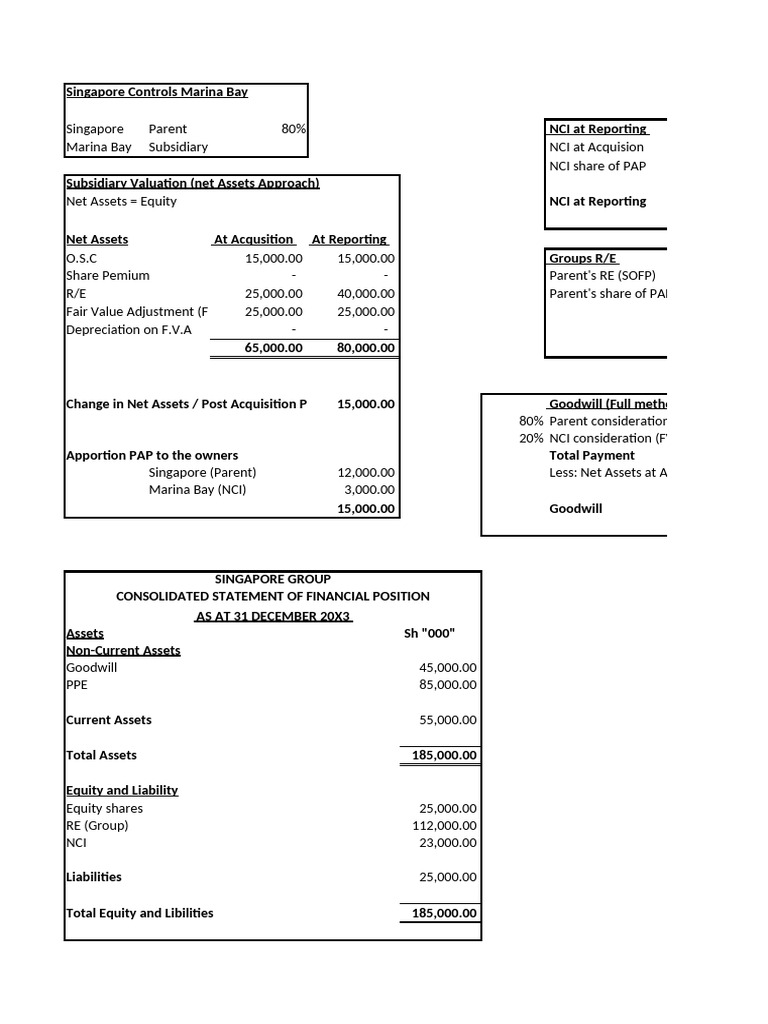 AFR Group Conslidation | PDF | Goodwill (Accounting) | Equity (Finance)