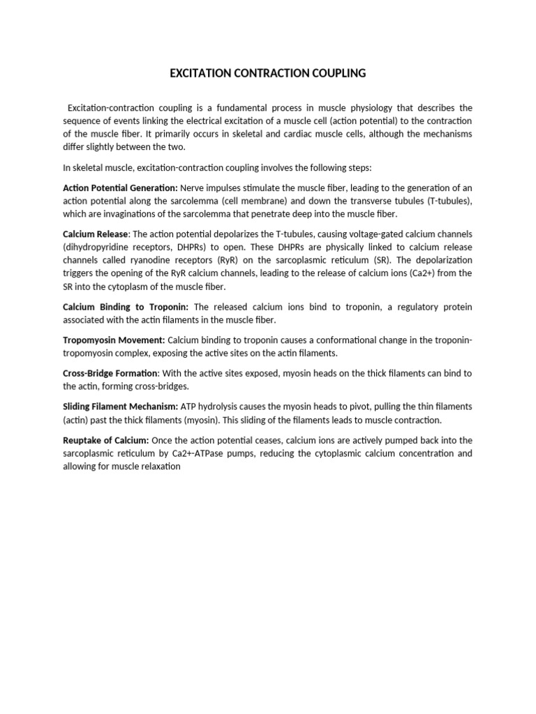 Excitation Contraction Coupling | PDF | Social Science