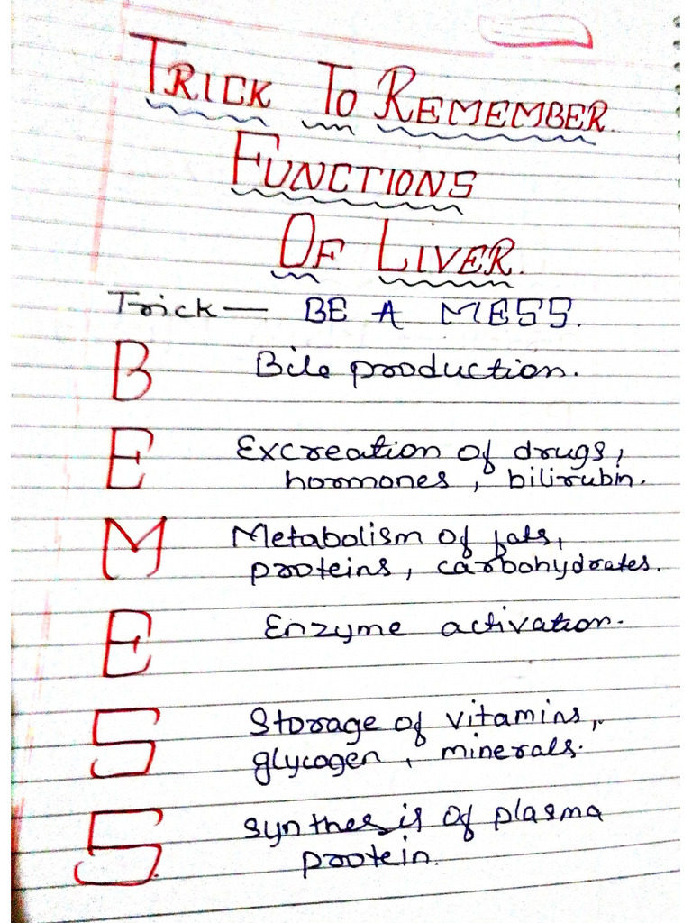 Trick To Remember Functions of Liver | PDF