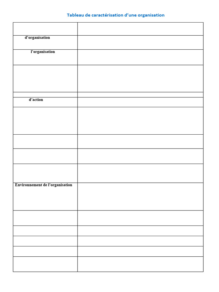 Tableau de Caractérisation d'Organisation | PDF