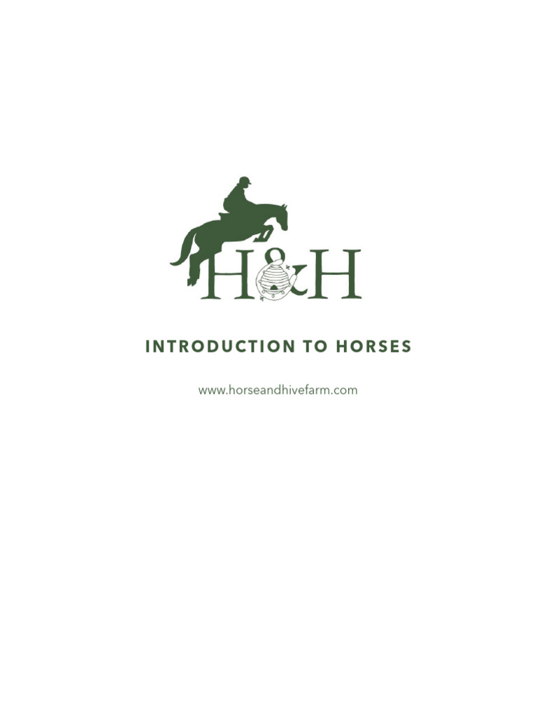 Horse Care Basics: Safety & Grooming | PDF | Horses | Livestock