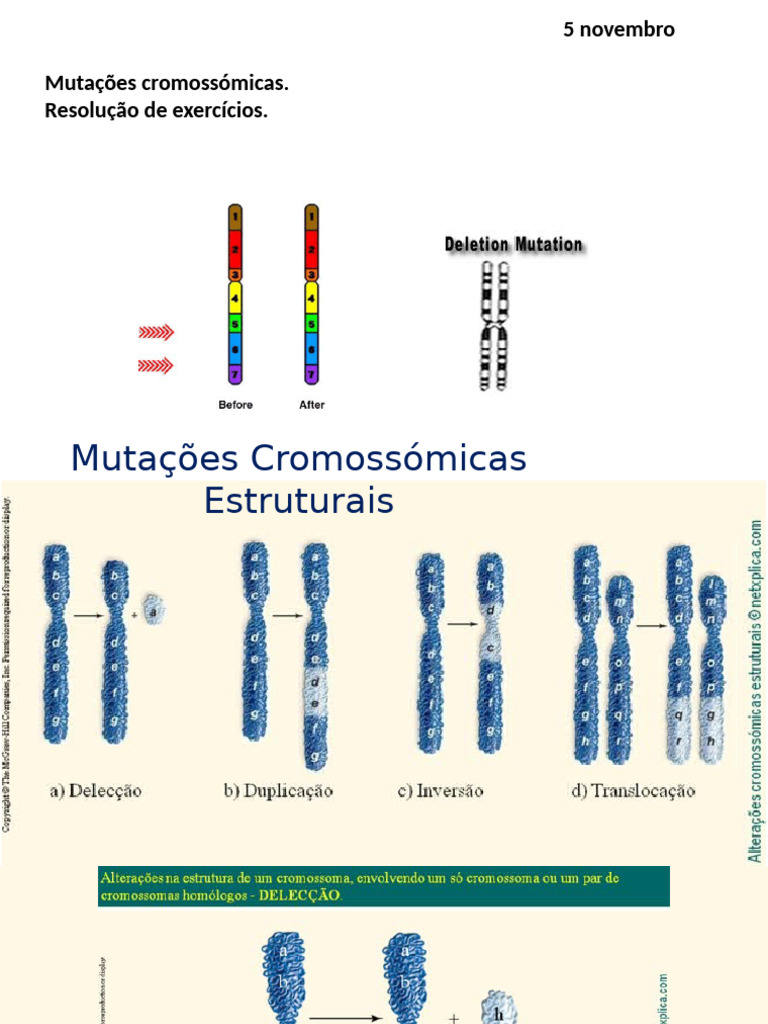 Mutações Cromossómicas e Síndromes | PDF | Autoajuda | Ciências e ...