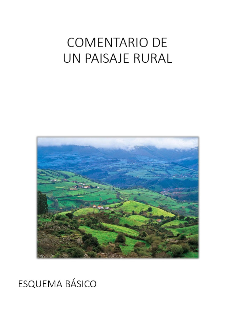 Comentario de Un Paisaje Rural | PDF | Área rural | Agricultura