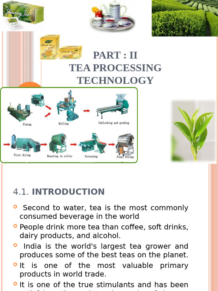 Tea Processing Techniques Explained | PDF | Tea | Green Tea